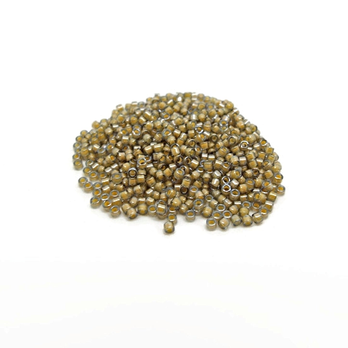 4600 Miyuki Delica Bead Wheel in 6 Autumn Colours, Size 11, 4g Per Section
